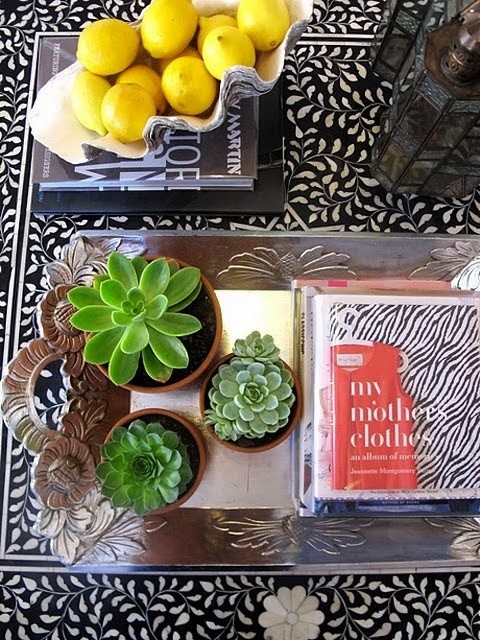 succulents on coffee table by The Decorista