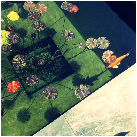 Getty Villa, Los Angeles